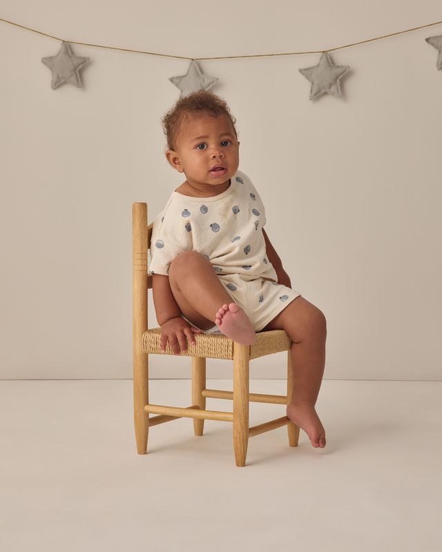 Blueberries Cozy Play Set