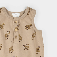 Monkey Pocket Romper