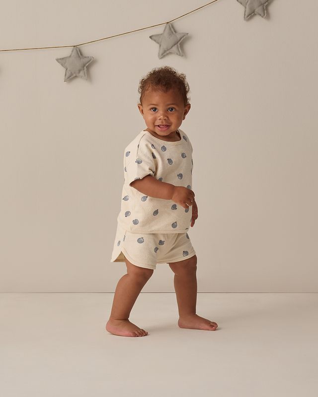 Blueberries Cozy Play Set