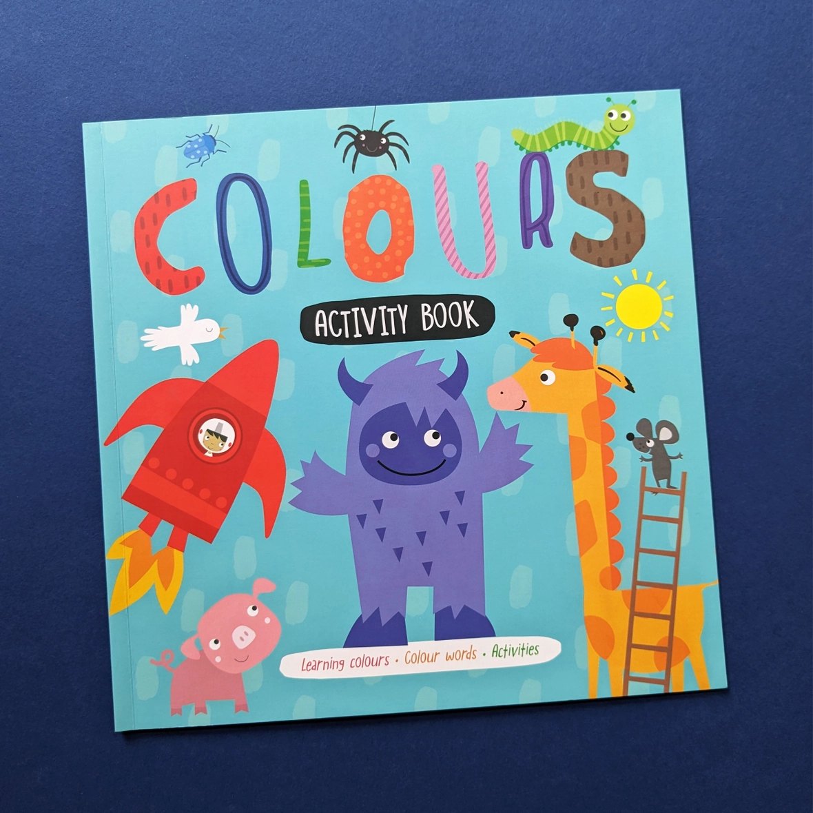 Colours Activity Book