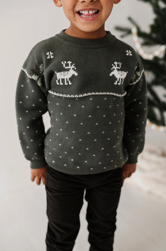 Moose Holiday Sweater