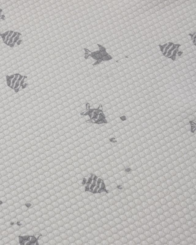 Fish Finn Rashguard Set