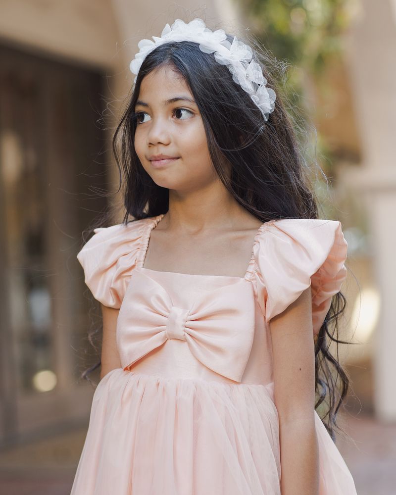 Blush Madeline Dress