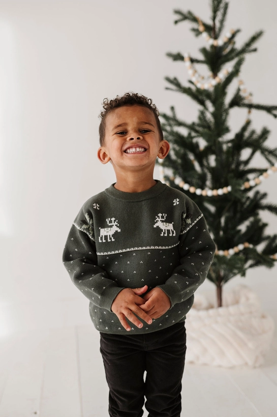 Moose Holiday Sweater