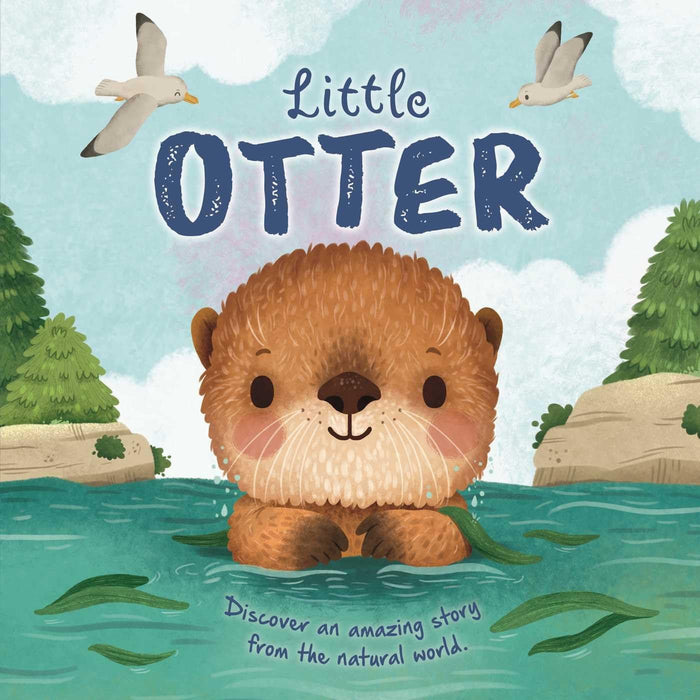 Little Otter Book